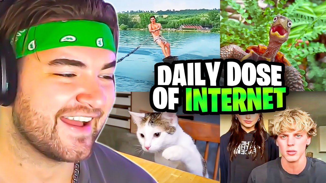 ЛУЧШИЕ ВИДЕО СО ВСЕГО ИНТЕРНЕТА!! | Реакция KingWoolz