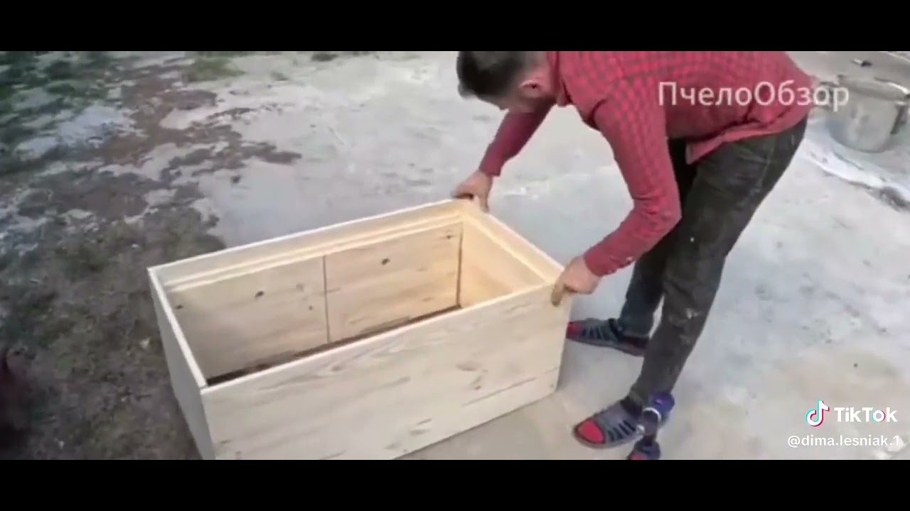Пчеловодство