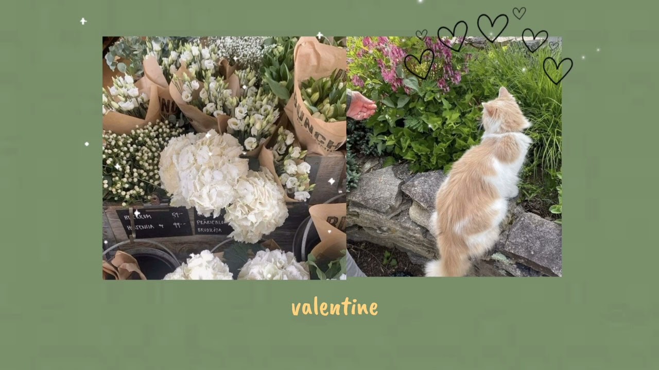 the laufey playlist ♪ ▶︎ •၊၊||၊|။||||။‌‌‌‌‌၊|• ♬