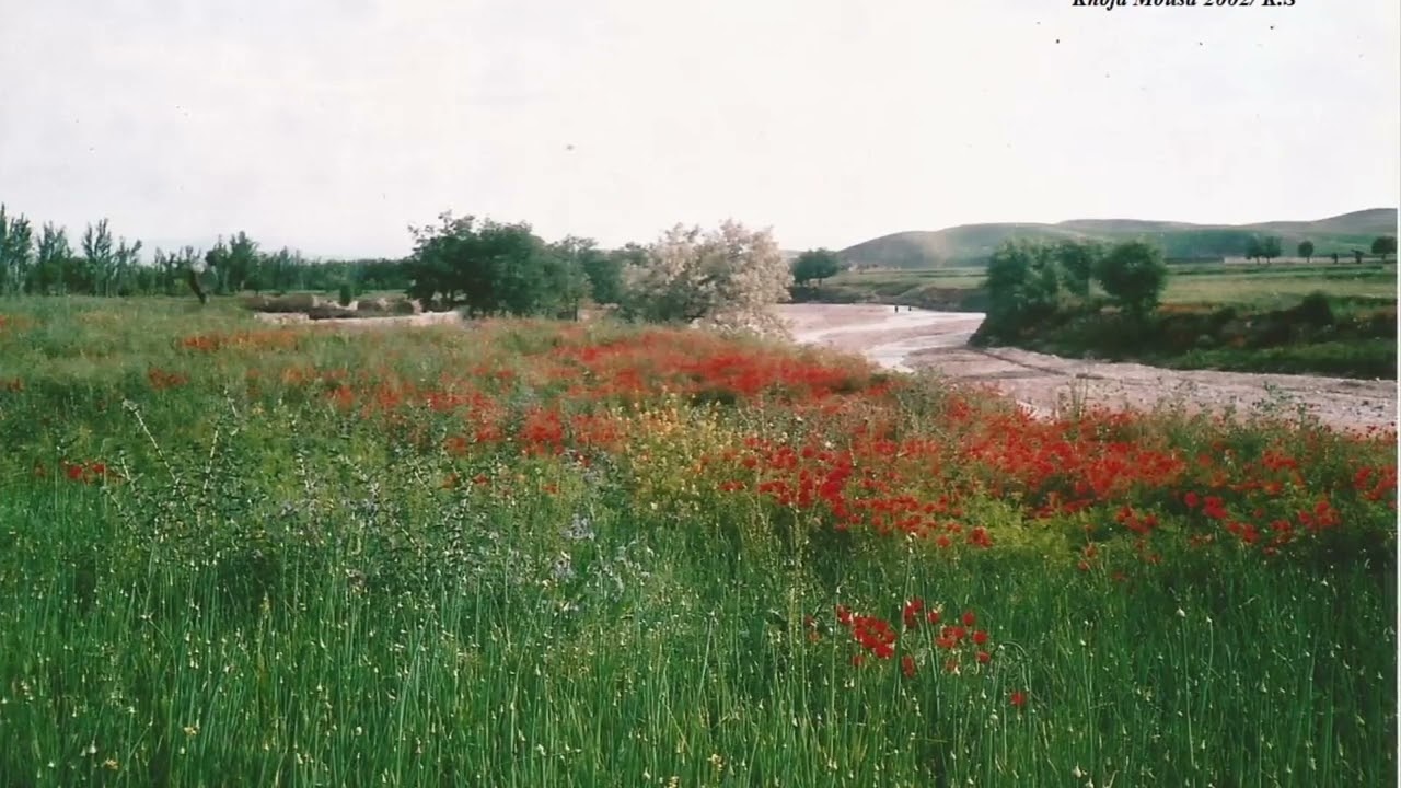 داکتر عبدالله درمان Abdullah Darman آهنگ اوزبيكى  شعله بيرمس شمع حسن يار سيز