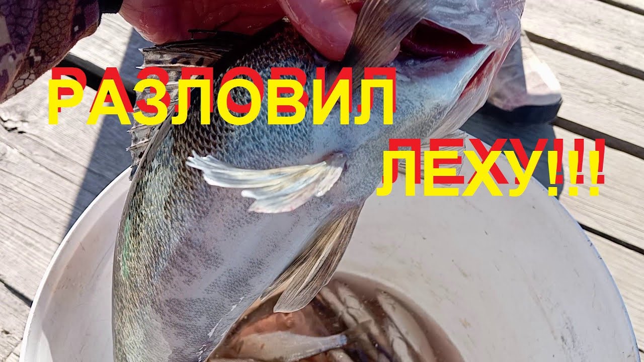 Разловил Алексея!