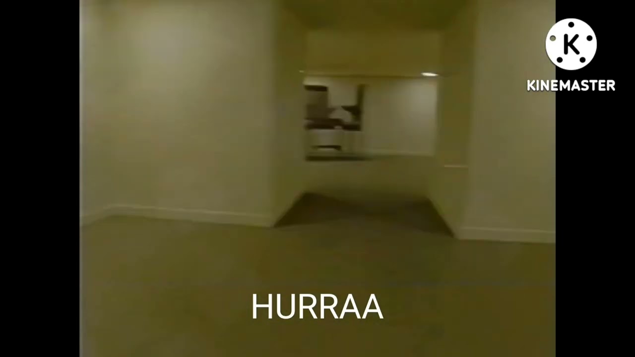 What The Backrooms Entiy Is Saying in Backrooms found Footage 2