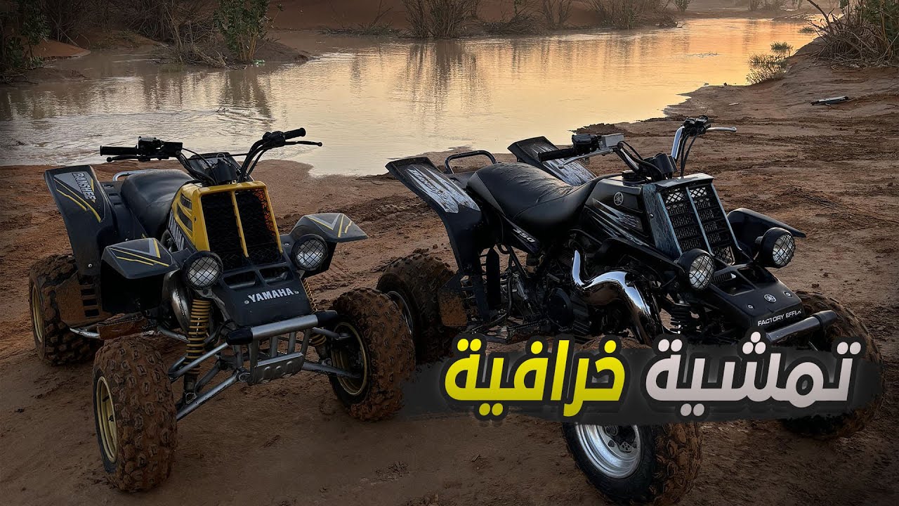 طلعة صباحيه | وشرينا بانشي جديد ! 😍