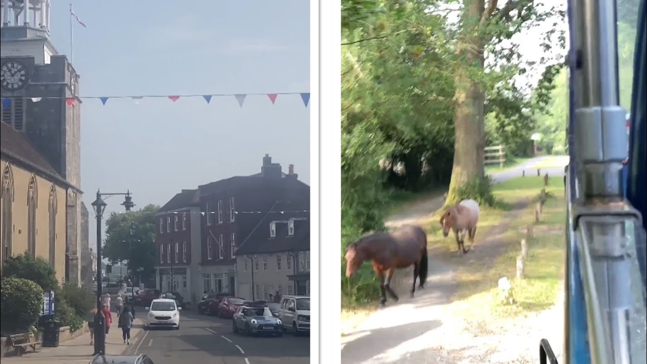 New Forest Blue Tour Bus (Full Route)