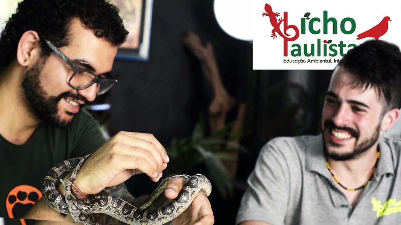 2| Corn Snake ft. Bicho Paulistano // ENTENDA O BICHO