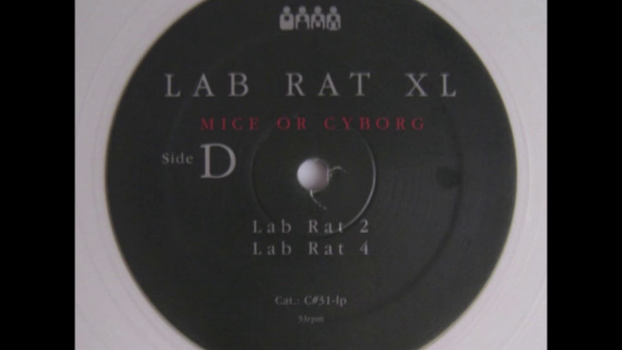 Lab Rat XL - Lab Rat 2