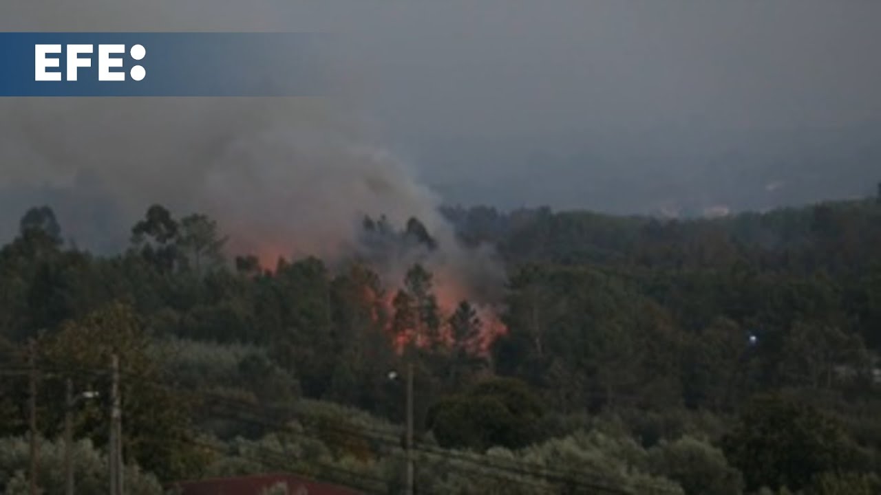 España envía a Portugal 248 efectivos militares para combatir la ola de incendios