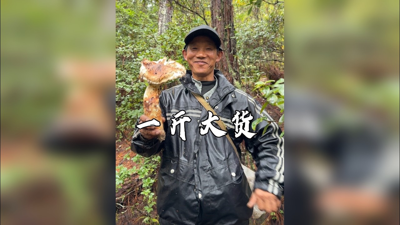 中秋节当天，还拿下了一朵一斤大的松茸