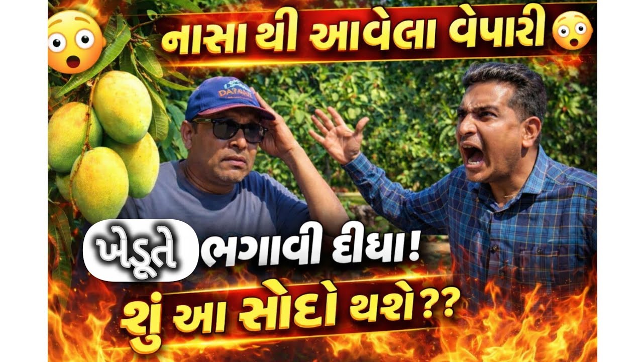 નાસા થી આવેલા વેપારી 😳 | ખેડૂતે ભગાવી દીધા! | કેરી નો સોદો થશે?? #villagelife 