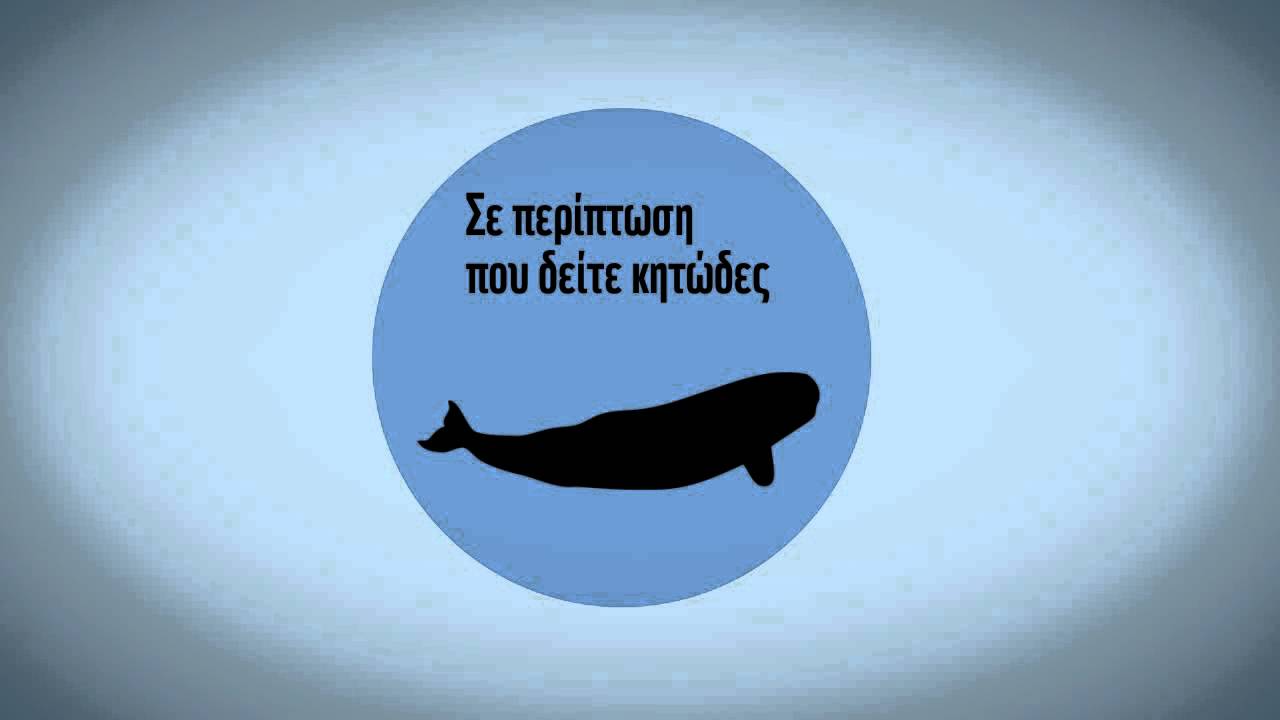 Οδηγός προς ναυτιλλομένους / Marine mammal encounter instructions