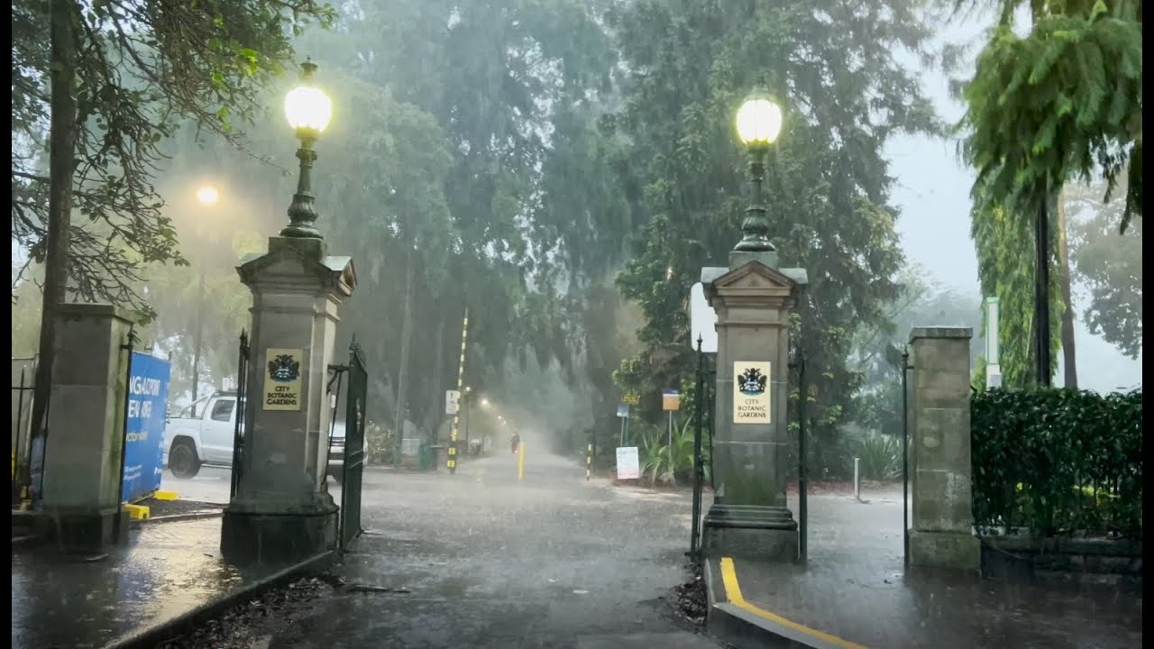 Walking in the Rain,/Royal Botanic Gardens in Brisbane, Australia/ Nature Sounds for Sleep