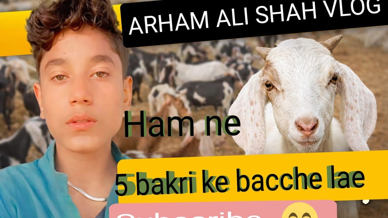 Ham 5 bakra ke bache lay