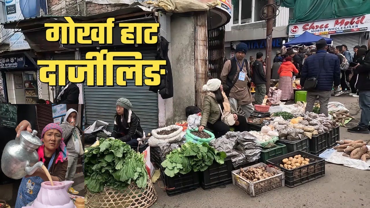 Darjeeling Gorkha Haat Local Market #walkingvlog#infodarjeeling#darjeelingtravalvlog