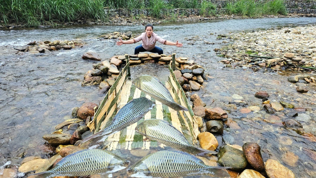 The way to make fish traps is very interesting. Ana caught many big fish in the stream.