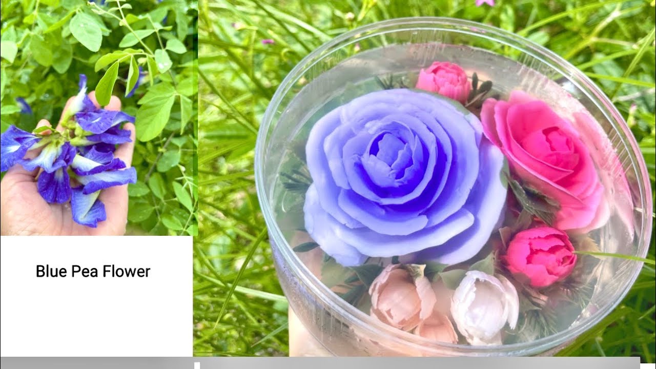 Jelly Art,How to make natural colour from Blue Pea flower