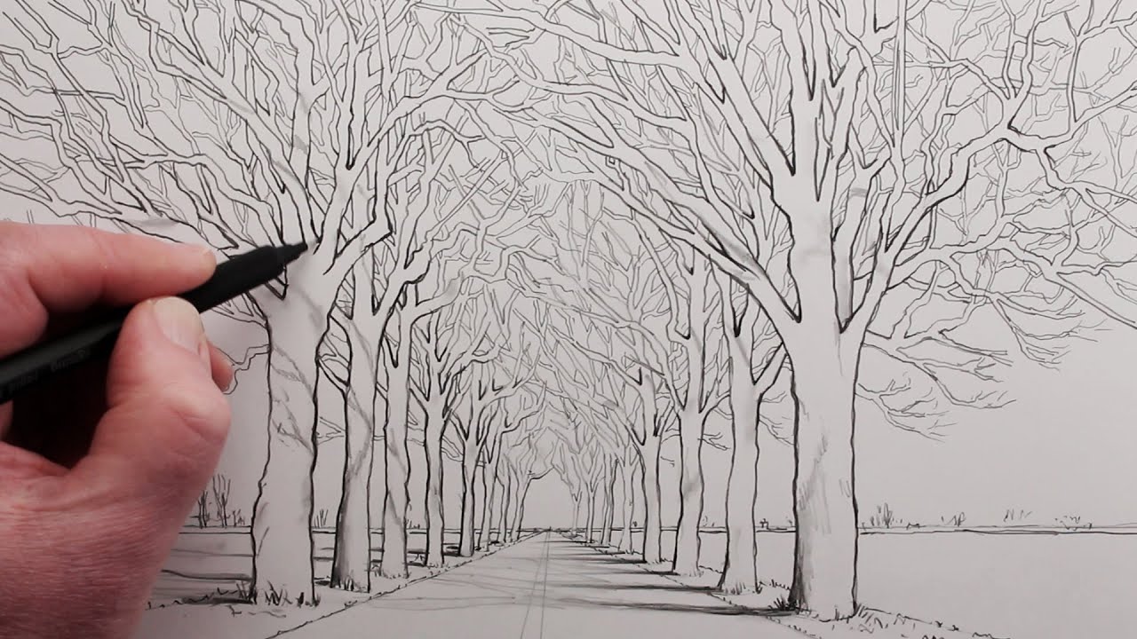 How to Draw an Avenue of Trees using One-Point Perspective