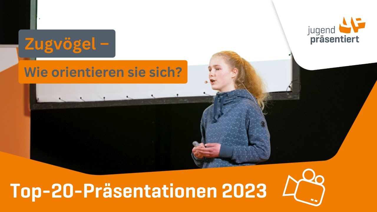 Wie orientieren sich Zugvögel?
