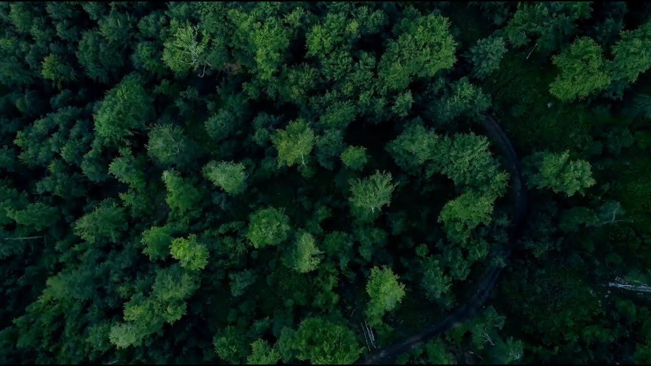 Discover unparalleled sustainability with Fakhruddin Properties.
