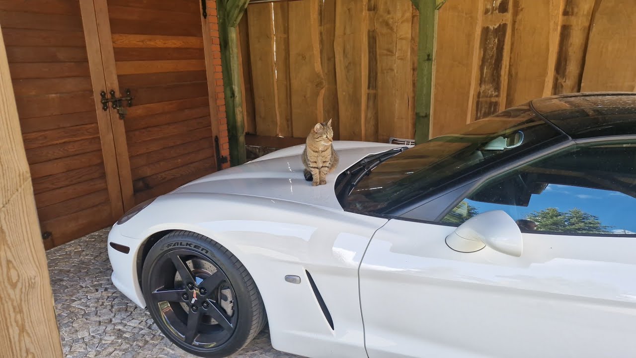 Tematy r&oacute;żne - od Smoleńska po komentarze o Corvette 