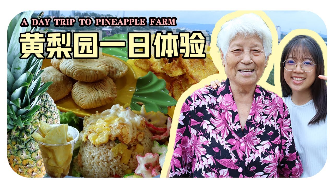 【婆婆出游去！】黄梨园一日体验~试吃黄梨料理！炸黄梨、黄梨咖啡？好吃还是雷品呢！