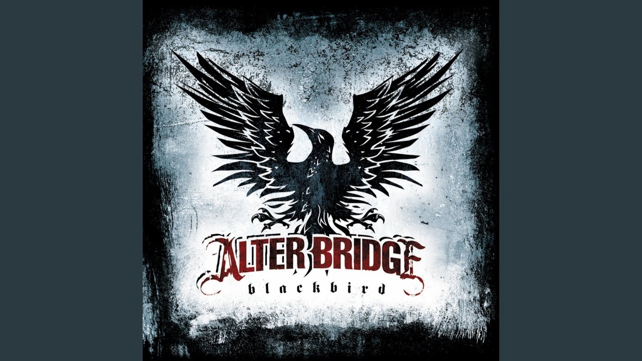 Blackbird