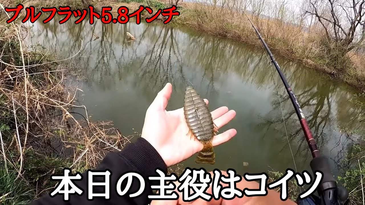 ルアーパワーのおかげで勝手にデカバスが食ってきます