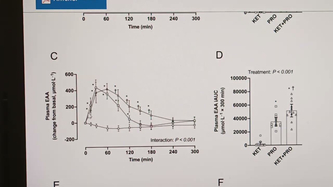 Les suppléments de cétones pour l'anabolisme musculaire ?