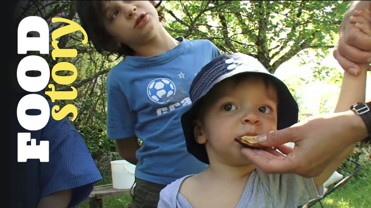Découvrez la cuisine aux arbres !