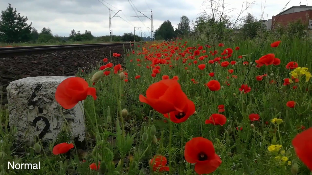 Aplikacja Feiyu ON - wbudowany tryb timelapse