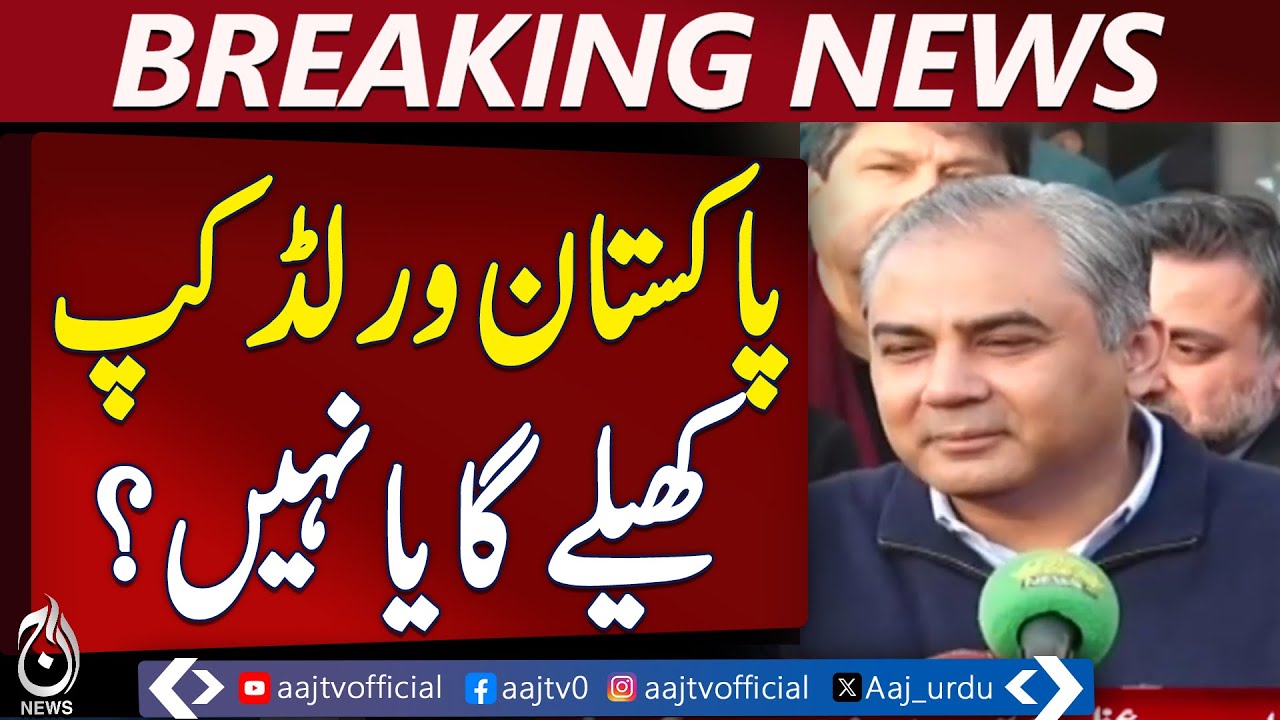 Pakistan&rsquo;s World Cup Participation Depends on Government Decision, Says PCB Chief - Aaj News