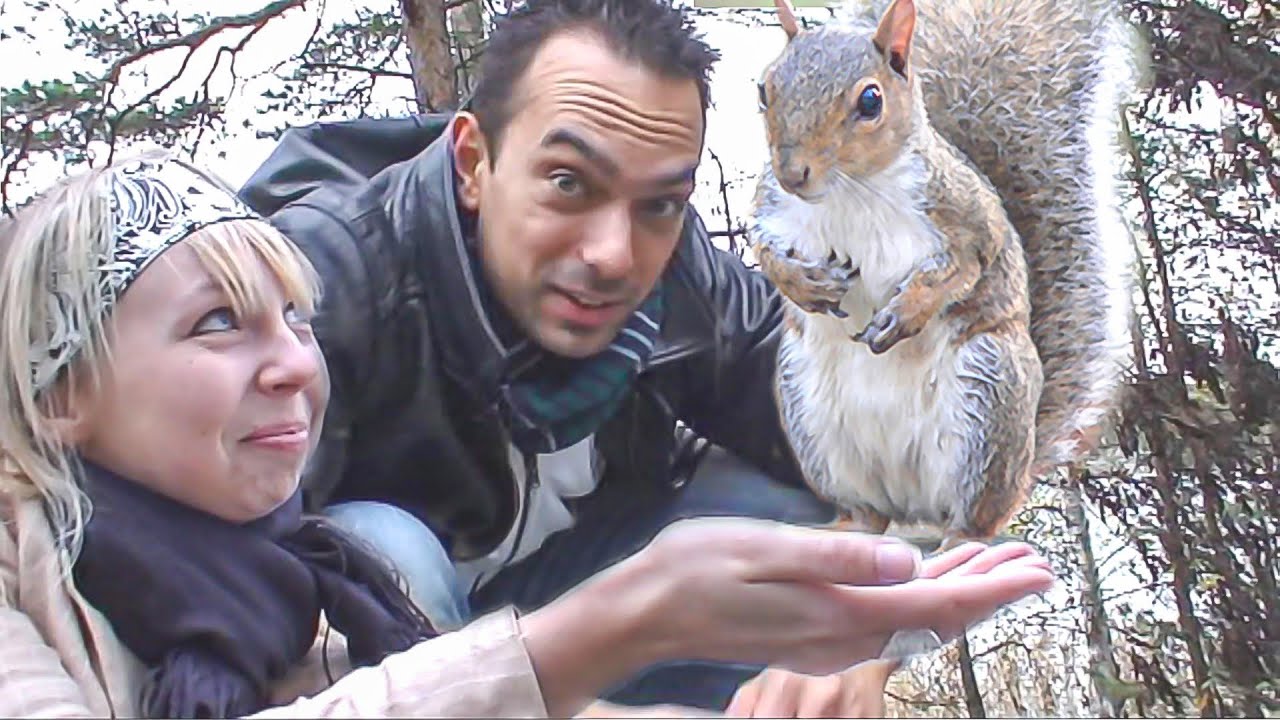 Destination Fun: Feeding squirrels in Finland