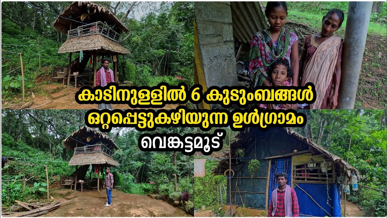 കാടിനുള്ളിൽ 6 കുടുംബങ്ങൾ ഒറ്റപ്പെട്ടുകഴിയുന്ന ഉൾഗ്രാമം |വെങ്കട്ടമൂട്|