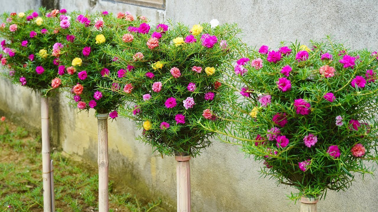 DIY Plastic Bottle Flower Garden Turn Your Space Into A Flower Paradise