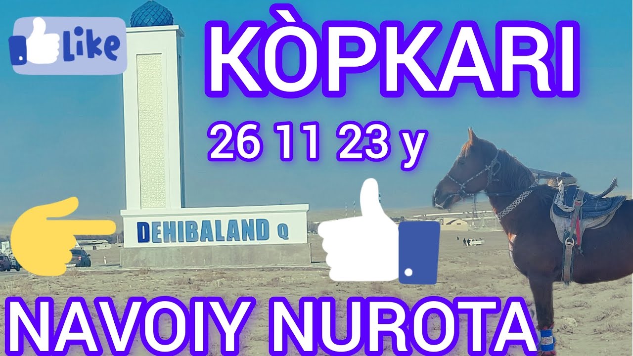 NAVOIY NUROTA DEHIBALAND KÒPKARI  26 11 23 yil #lak