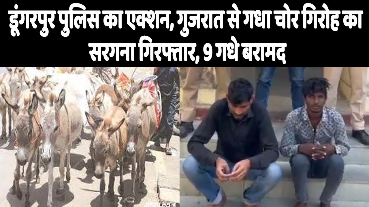 डूंगरपुर पुलिस का एक्शन, गुजरात से गधा चोर गिरोह का सरगना गिरफ्तार, 9 गधे बरामद