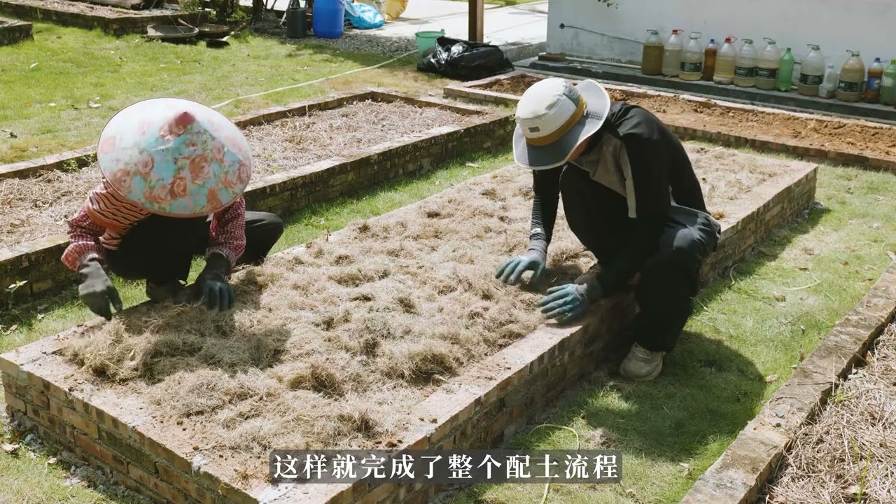 厚土免耕覆盖种植法，可太行了 681