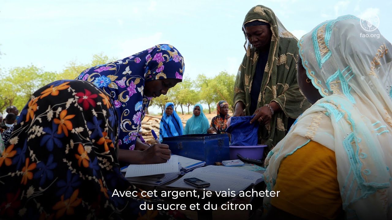 Togo- Un système d’épargne et de crédits propulsé par la FAO