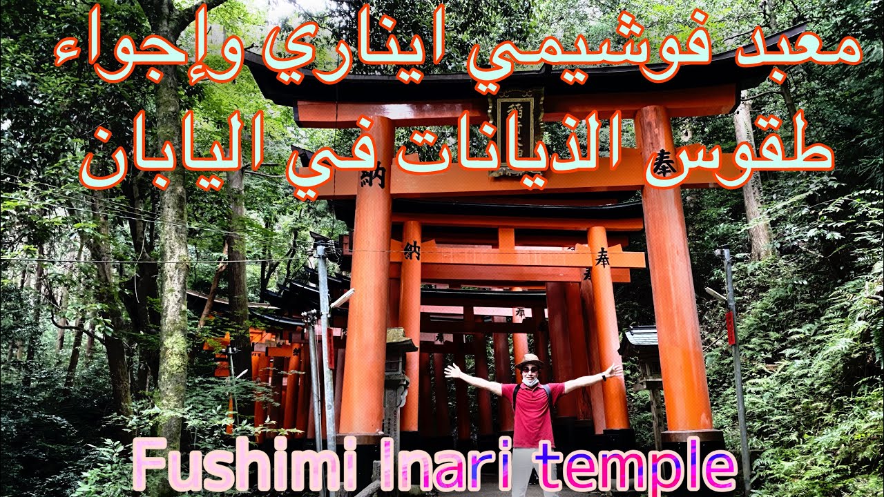 #معبد فوشيمي ايناري  وطقوس الديانات في اليابان #FUSHIMI INARI #TEMPLE  # shinto#