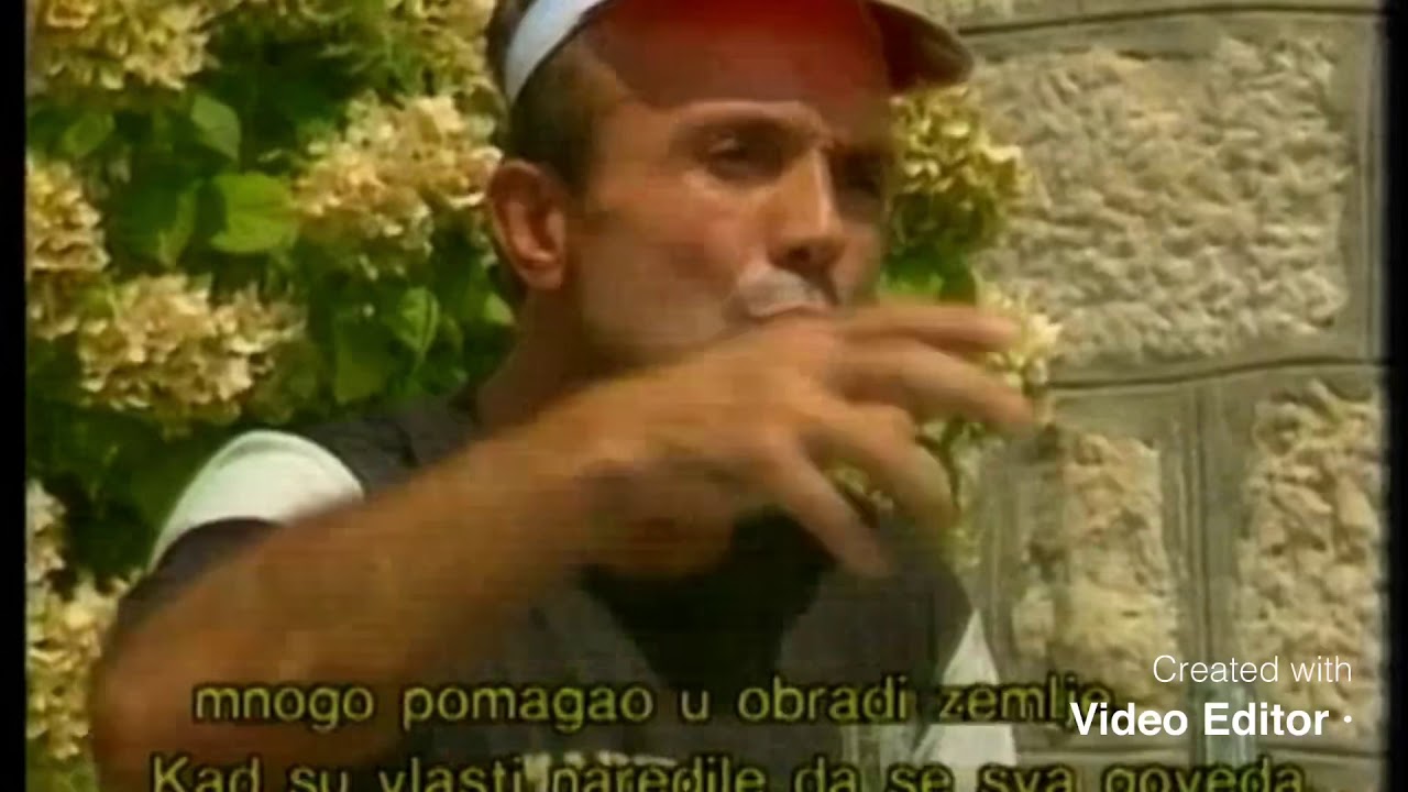 Liqeni Shkodres Aratisja 1984