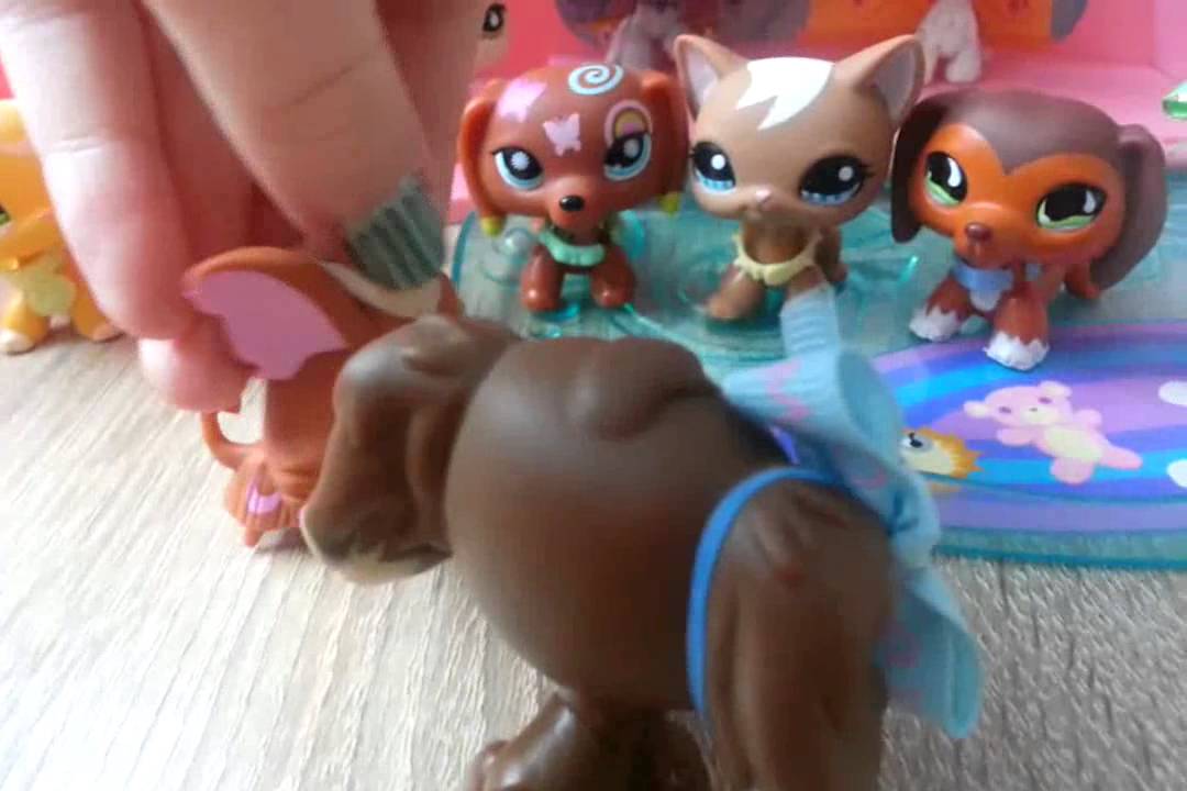 LPS : "Zakręceni" #19 Littlest Pet Shop !