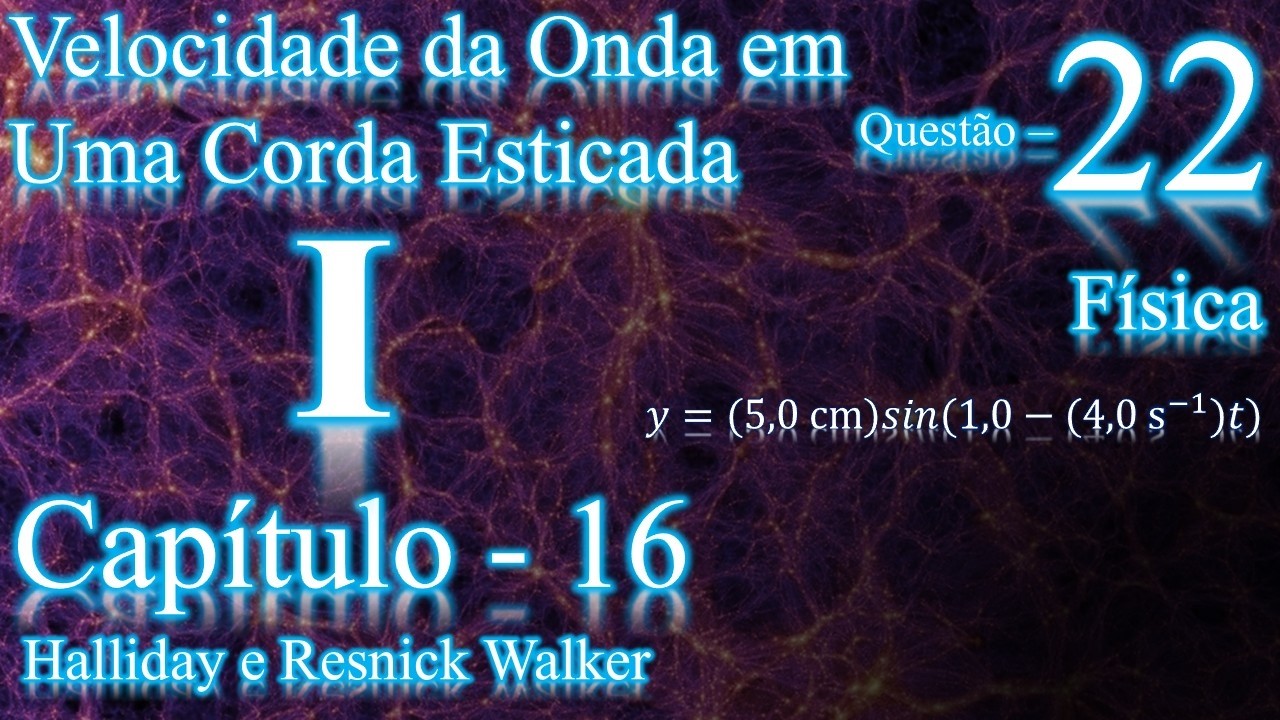 Questão 22 - Capítulo 16 - Física (Ondas I)