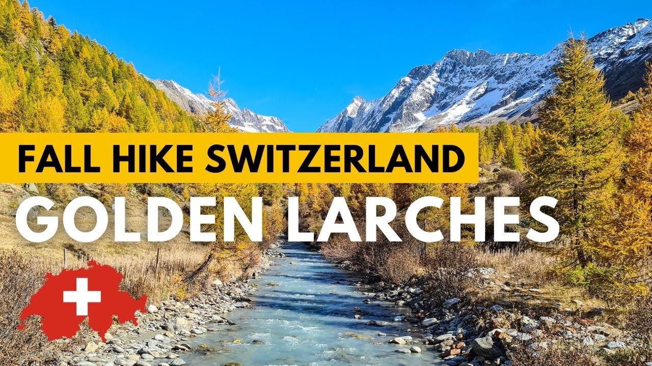 Golden Larches Lötschental - Fall in Switzerland