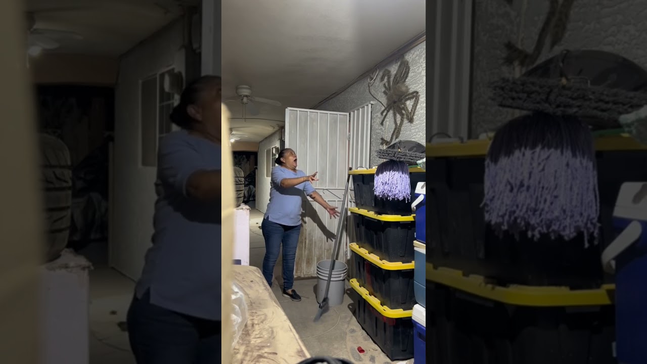 Assustando a m&atilde;e com uma Aranha gigante 🤣🤣🤣 #halloween #shorts #pet - me siga para mais v&iacute;deos!!!