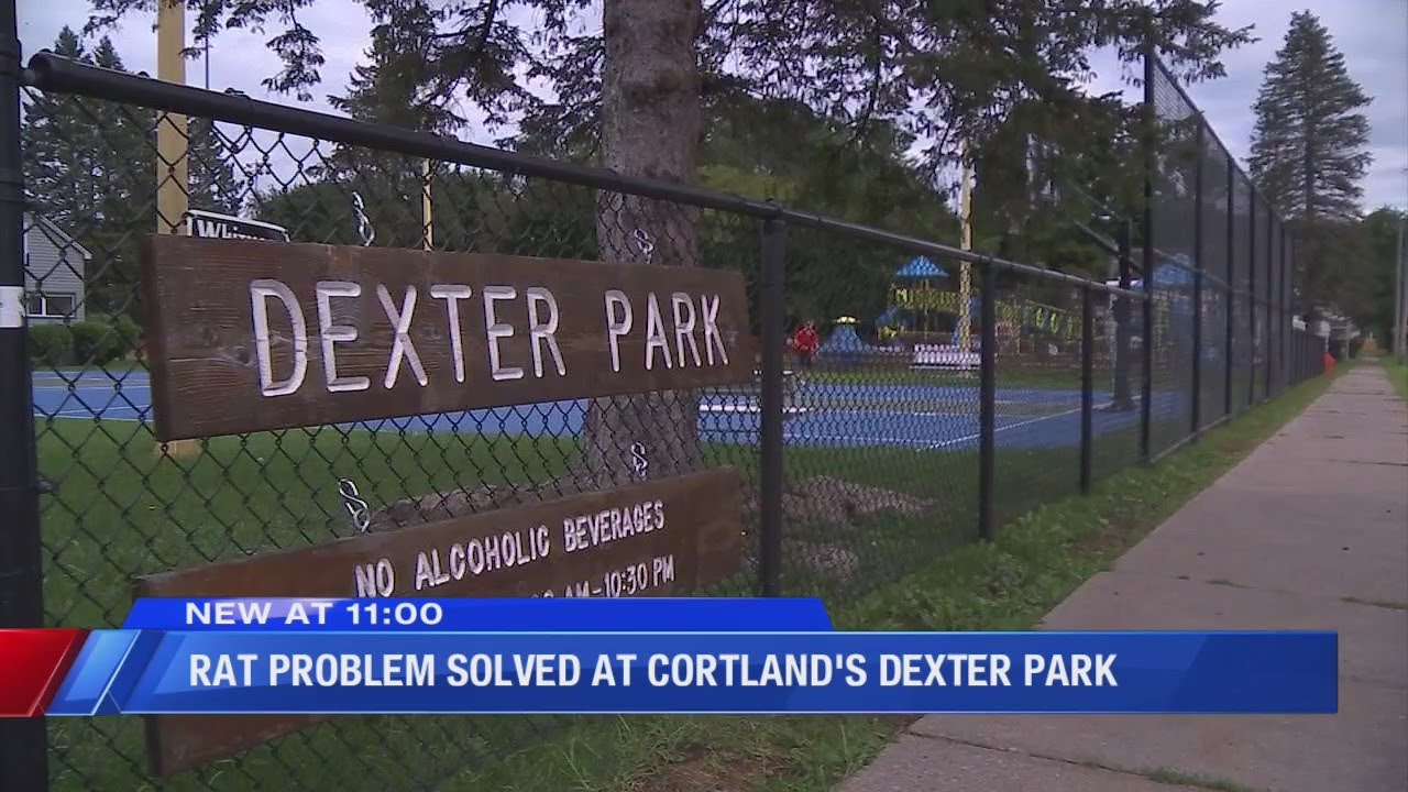 Rat problem eliminated at Cortland's Dexter Park