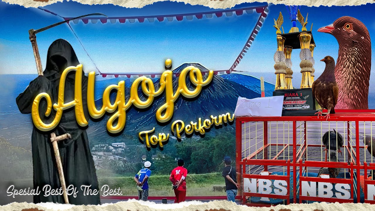 TARUNG BOOM! SPESIAL ALGOJO DI AJANG BEST OF THE BEST TIKET 500.000,Rp LAPAK KOREA WONOSOBO.