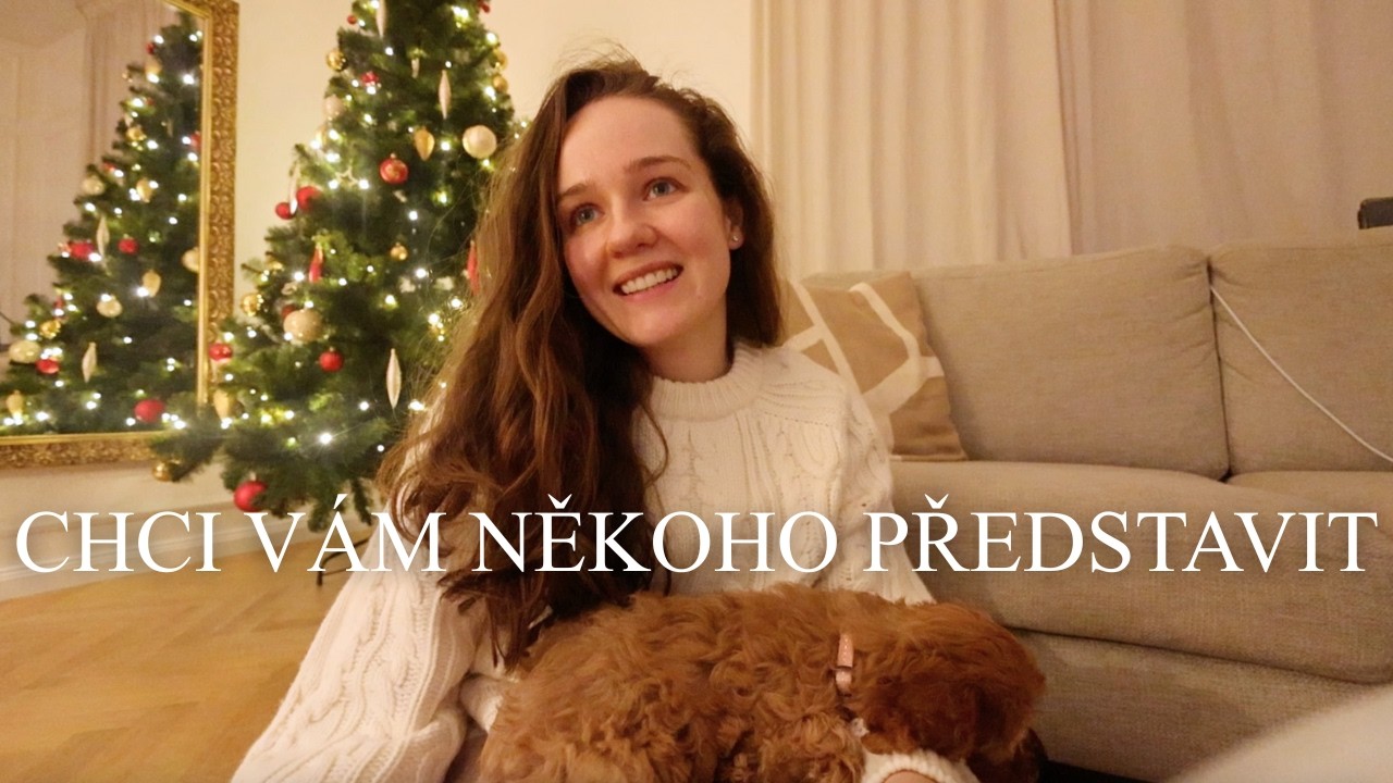 VLOG | Udekorowana choinka i nowy członek rodziny