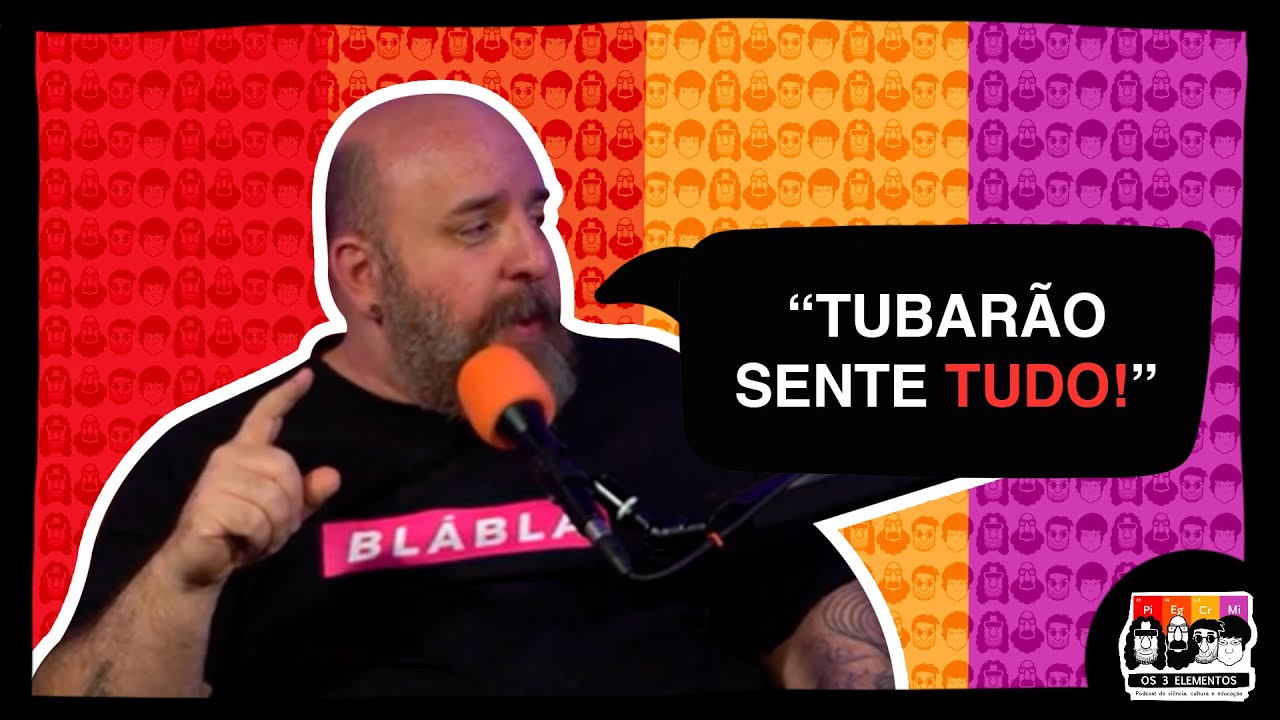 QUAIS OS SENTIDOS DOS BICHOS DO MAR? | O que eles SENTEM vai te SURPREENDER!