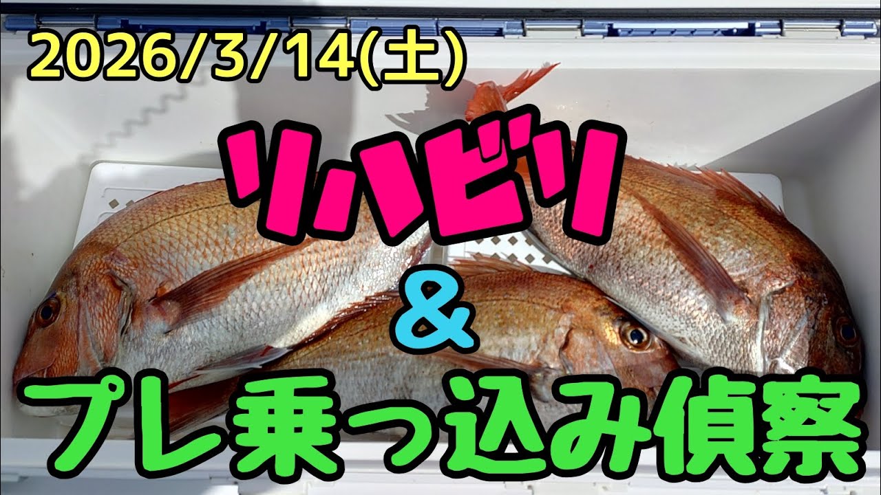 【ワームのみタイラバ】リハビリがてらにプレ乗っ込みの偵察！！