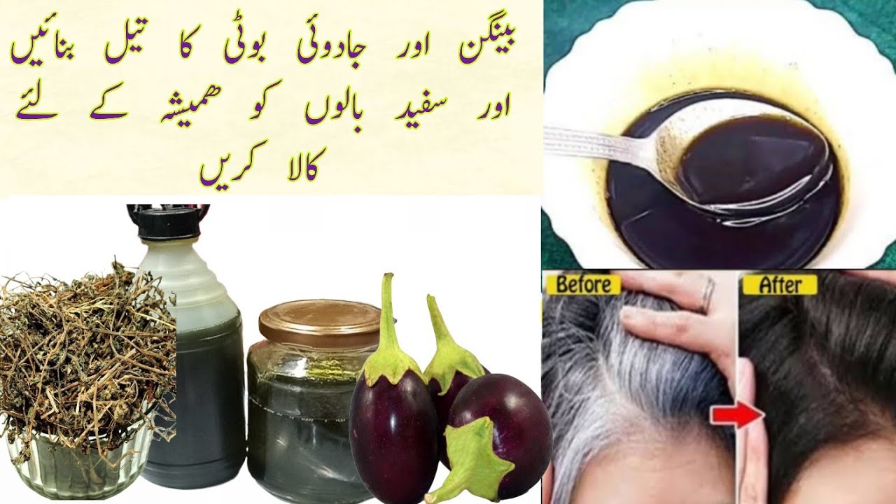 Eggplant  & Bhringraj Oil For Permanent Black Hair | Baingan ke Tail e Sufaid Balon Ko Kala Kren |