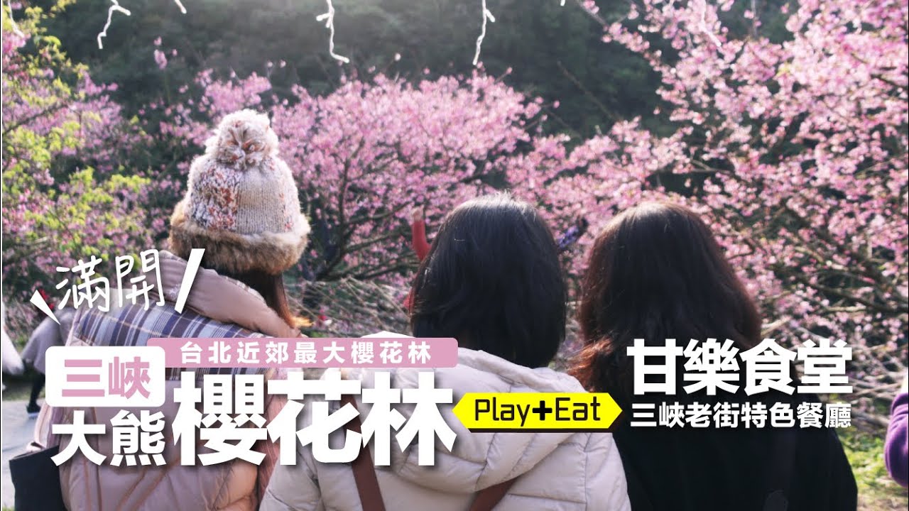 (新北賞櫻景點) 三峽大熊櫻花林 - 三色寒櫻滿開【吃】甘樂食堂、九鬮香腸